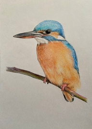 �y�̌��z�@4/15�@5�F�̐F���M�Łg�쒹�h��`�����`������u��