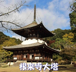 11/25豊臣秀長「賤ヶ岳の戦い〜大和郡山城で没するまで」
