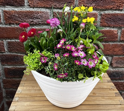 �P�C�R�c�K�[�f�j���O�X�N�[����A���Ŋy���ގl�G���ꂼ��̐A��