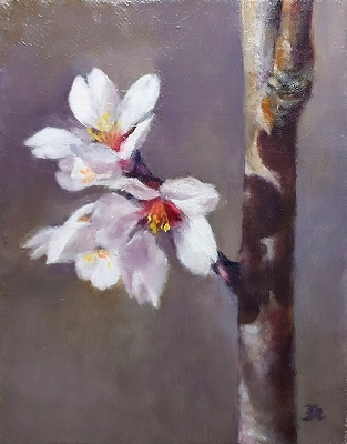 ���j���[�A���@�͂��߂Ă���̃A�g���G����