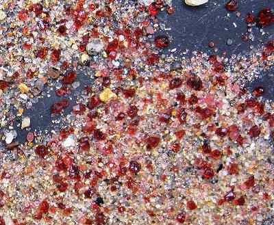 �͂��߂Ă̓V�R�΂������`������`