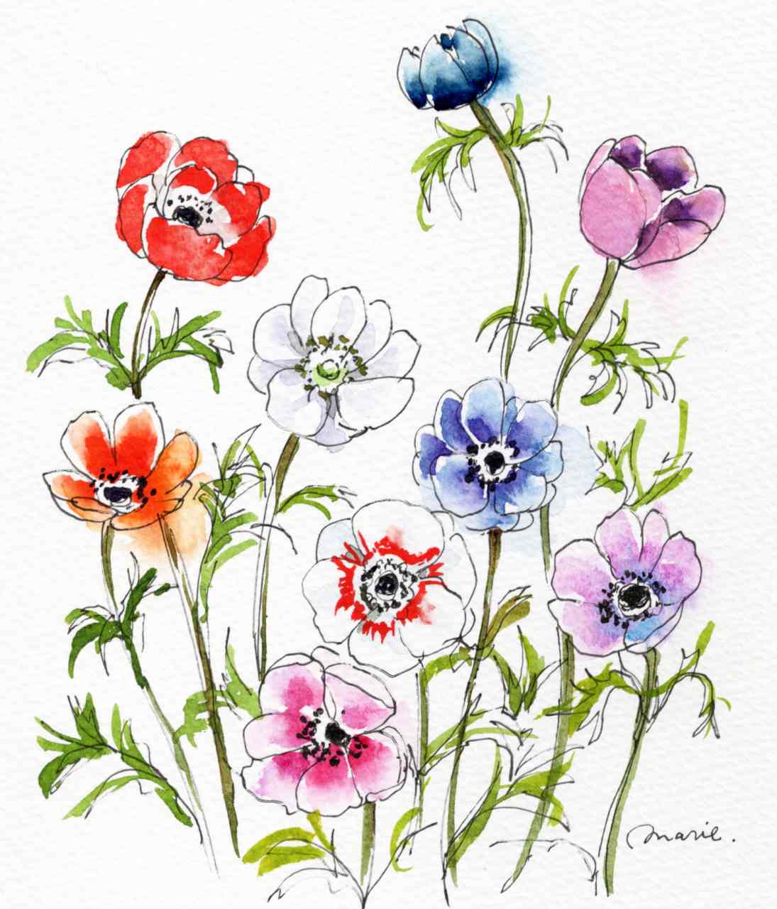 1/20 いけた春花を時短スケッチ