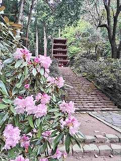 �ԗ�@�����ȗ�