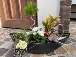 夢見る寄せ植え 〜迎春〜