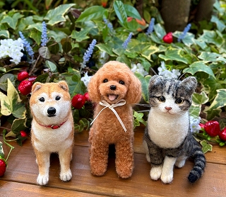 ���R�݂ǂ�f�U�C���@�r�уt�F���g�ň����E���L����낤