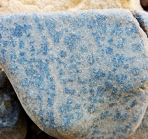 4/4  �͂��߂Ă̓V�R�ΒT���`���s�E����@�`