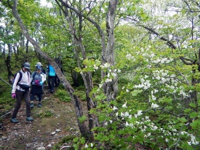 ビギナーのための日曜トレッキング