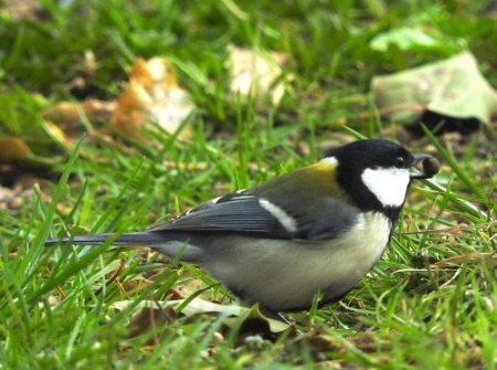 ���ԂƏ��������ł� ���s�����