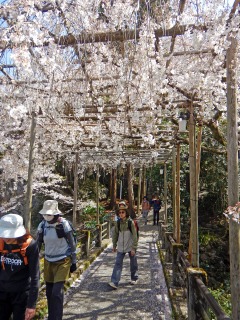 �͂��߂Ă̋��s����g���C��