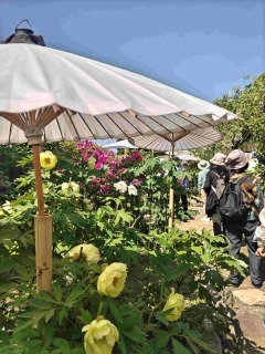 �ԗ�@�����ȗ�