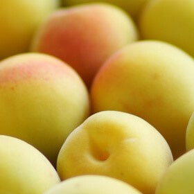 6/11 干さない 梅干し教室〜てらがき農園の自然栽培 南高梅で作る〜