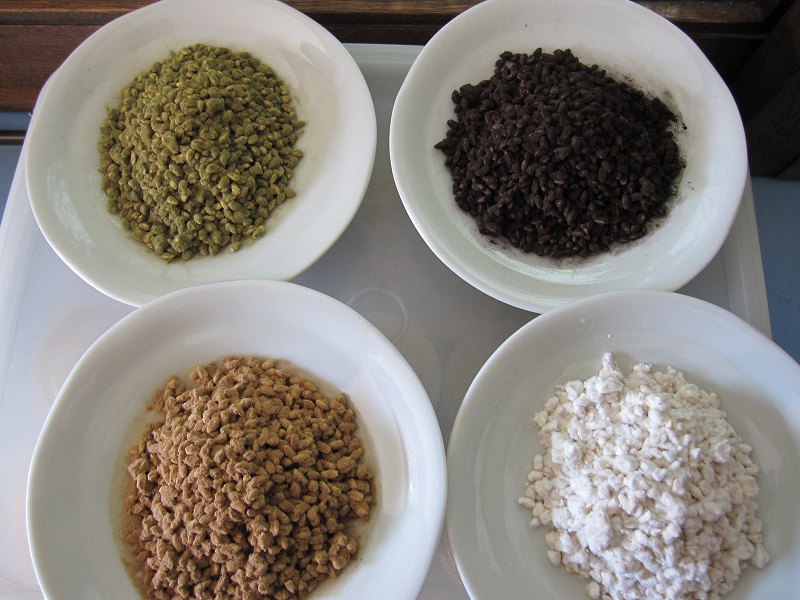 【短期】 麹菌と発酵食品