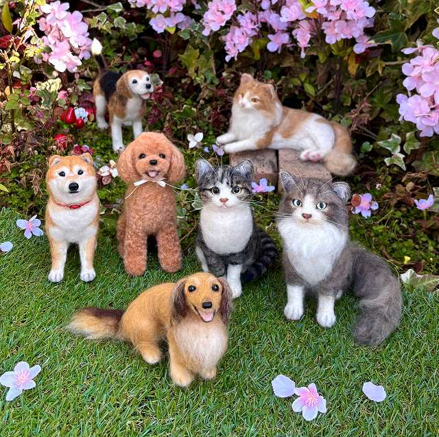 ���R�݂ǂ�ďC�@�r�уt�F���g�ň����E���L����낤�@�i�ߌ�N���X�j