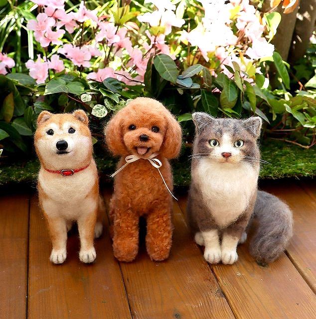 ���R�݂ǂ�ďC�@�r�уt�F���g�ň����E���L����낤�i�ߑO�N���X�j