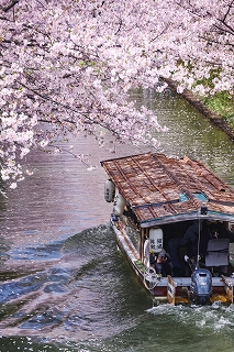 �B���I�킩��I�J�����̊�{3��u���@�`�V���b�^�[�X�s�[�h���g�����Ȃ��`