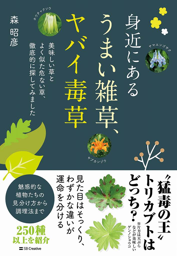 8/30@Hׂ鑐IH쑐̕svcɔ