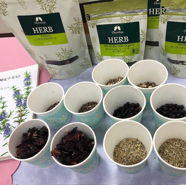 �n�[�u���A���}�`�G�߂ɉ�������炵������ށ`