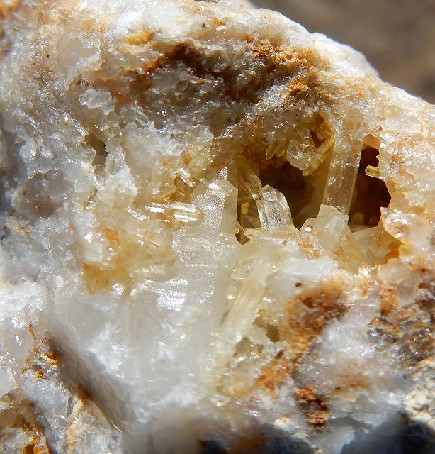 �V�R�ΒT���ɂł����悤 �`�T���`�@