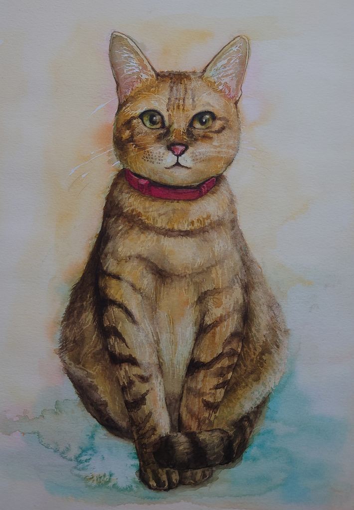 ���ʂŕ`�����I���킢����������