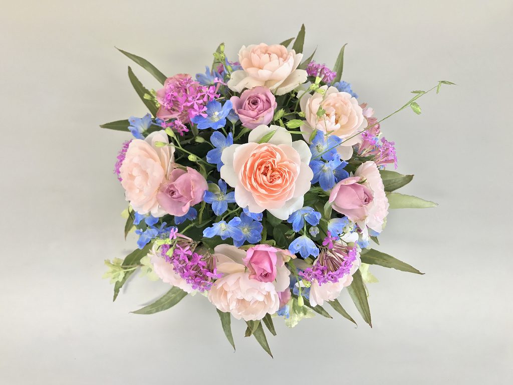 �D�낳���y���ށ@�p�����t�����[�A�����W�����g