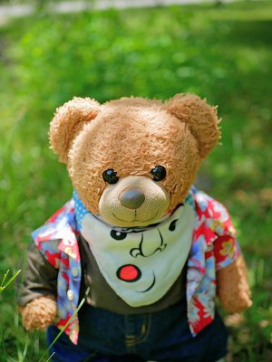 2/11 インスタで人気の、あのくまくんに会える!楽しいお話し会♪