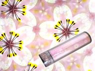 4/9 �y�̌��z������̖��؋��Â���